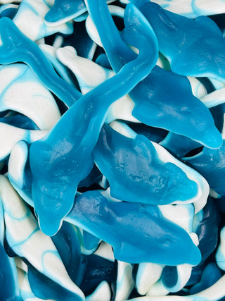 UK Giant Dolphins 500g